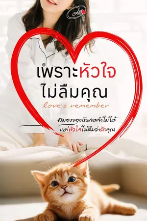 ปกนิยาย เพราะหัวใจไม่ลืมคุณ