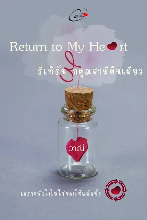 ปกนิยาย รีเทิร์นรักคุณสามีคืนเดียว
