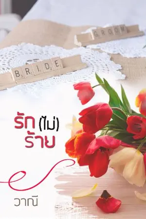 ปกนิยาย รัก(ไม่)ร้าย