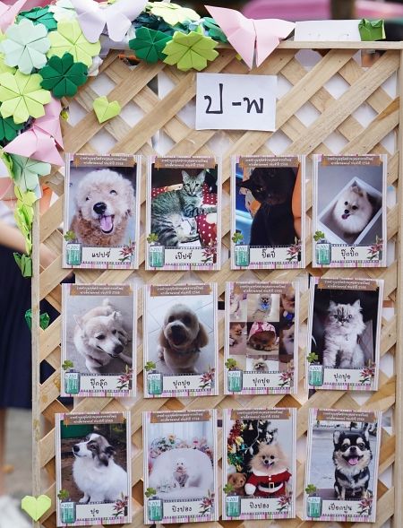 ขอขอบคุณรูปภาพจาก