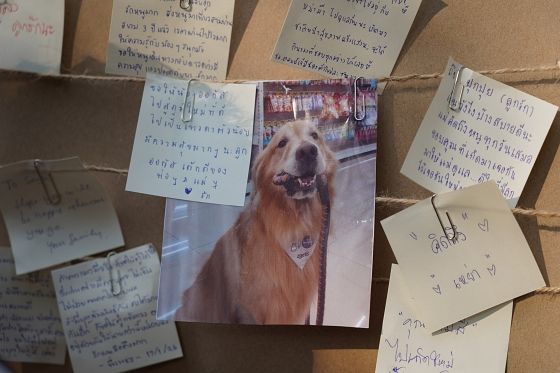 ขอขอบคุณรูปภาพจาก