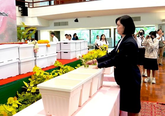 ขอขอบคุณรูปภาพจาก