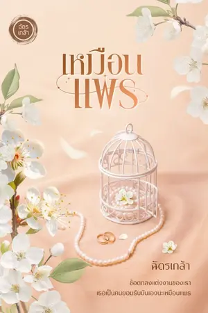 ปกนิยาย เหมือนแพร [[ เปิดจองเล่ม ]]