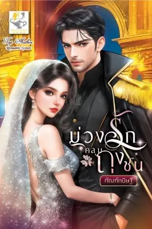 ปกนิยาย บ่วงรักคลุมถุงชน