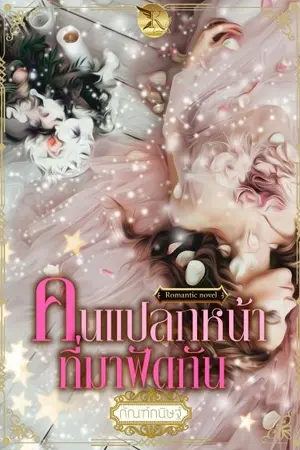 ปกนิยาย คนแปลกหน้าที่มาฟัดกัน