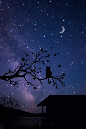 ปกนิยาย Starry Night ค่ำคืนใต้หมู่ดาวมีเพียงแค่สองเรา