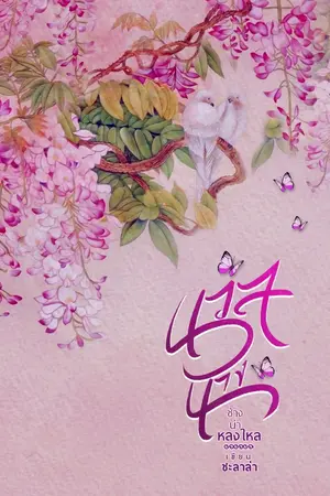 ปกนิยาย