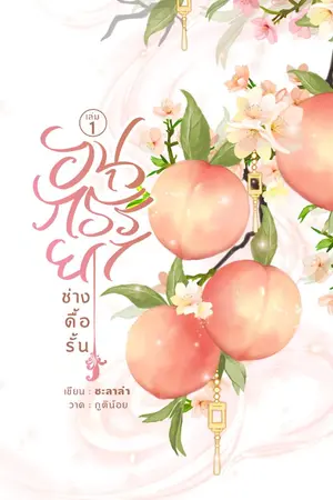 ปกนิยาย อนุภรรยาช่างดื้อรั้น