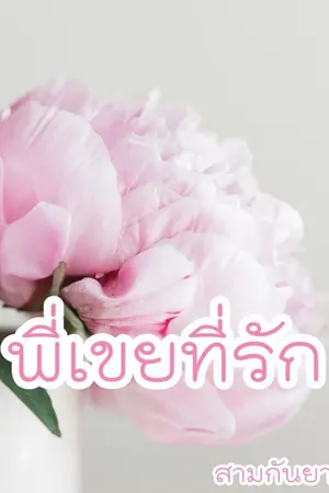 ปกนิยาย พี่เขยที่รัก