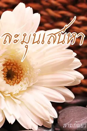 ปกนิยาย ละมุนเสน่หา