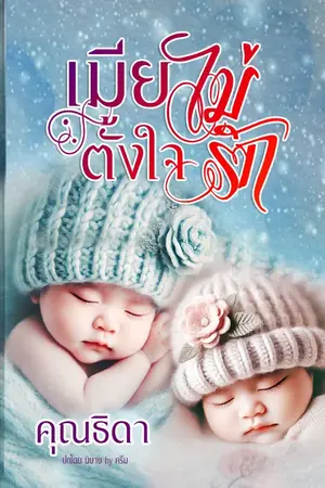 ปกนิยาย เมียไม่ตั้งใจรัก