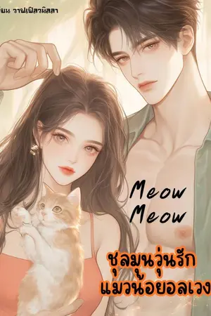 ปกนิยาย Meow Meow ชุลมุนวุ่นรักแมวน้อยอลเวง