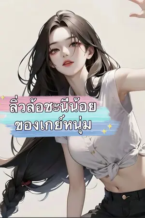 ปกนิยาย ลิ่วล้อชะนีน้อยของเกย์หนุ่ม