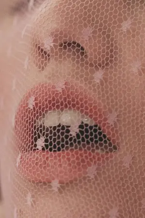 ปกนิยาย มังกรกินหมี่