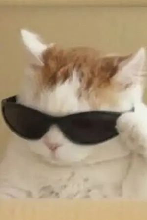 ปกนิยาย [Fic] Animaly Academy