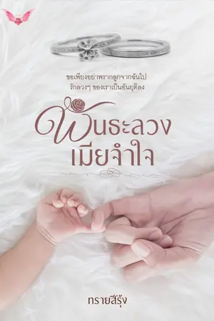 ปกนิยาย