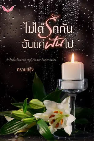 ปกนิยาย ไม่ได้รักกันฉันแค่ฝันไป