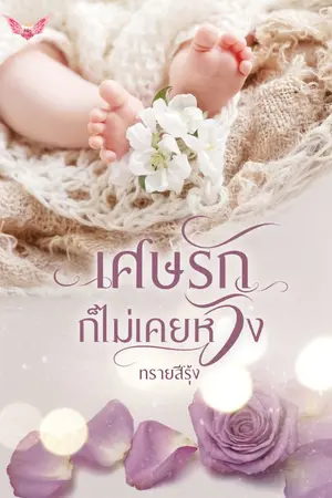 ปกนิยาย