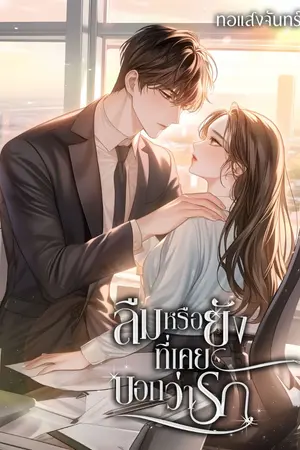 ปกนิยาย ลืมหรือยังที่เคยบอกว่ารัก