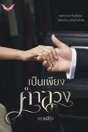 ปกนิยาย เป็นเพียงคำลวง