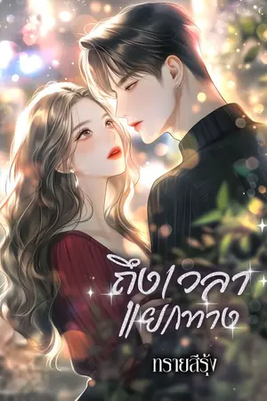 ปกนิยาย ถึงเวลาแยกทาง