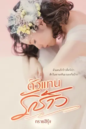 ปกนิยาย ตัวแทนรักร้าว