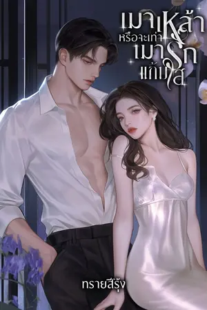 ปกนิยาย เมาเหล้าหรือจะเท่าเมารักแก้มใส