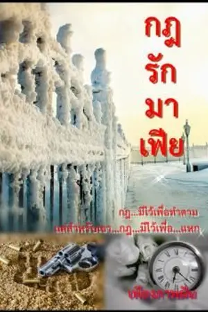ปกนิยาย กฎรักมาเฟีย