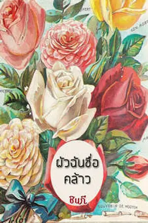 ปกนิยาย ผัวฉันชื่อคล้าว