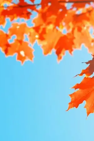 ปกนิยาย [AU FIC GLORY] เสี่ยวหวง หมาน้อยนายป่วยอีกเเล้วเหรอ #หวงเยี่ย