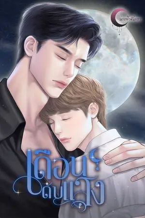 ปกนิยาย เดือนดับบแสง