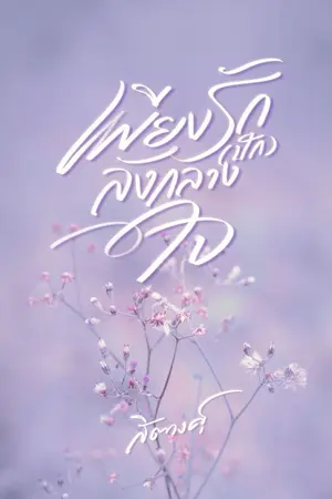 ปกนิยาย เพียงรัก(ปัก)ลงกลางใจ