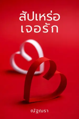ปกนิยาย สัปเหร่อเจอรัก