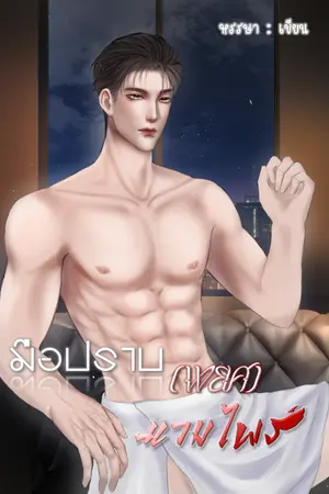 ปกนิยาย มือปราบ(พยศ)แวมไพร์