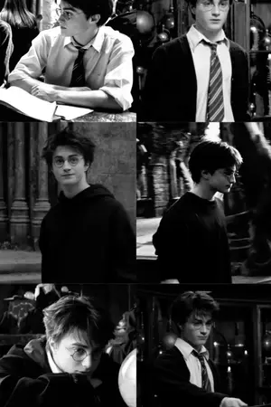 ปกนิยาย Fic Harry Potter x OC | Day Of Love