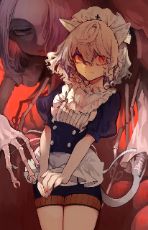 ปกนิยาย (Fic HxH)เกิดใหม่เป็นเนเฟลปิโต้... ขอใช้ชีวิตตามใจเถอะเมี๊ยว!