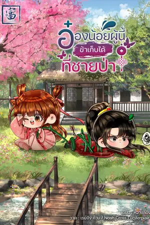 ปกนิยาย