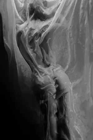 ปกนิยาย เฮียกานต์{BL}ผัวฆ่าตกร