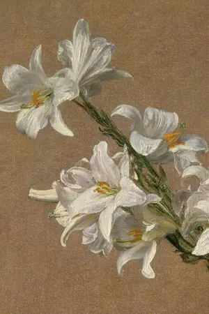 ปกนิยาย [Bungou Stray Dogs] Lily (OC)