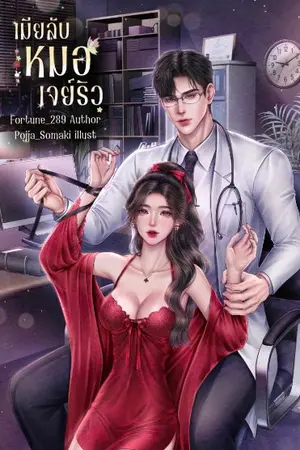 ปกนิยาย เมียลับหมอเจย์ริว