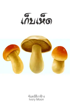 ปกนิยาย เก็บเห็ด ( มี Ebook)