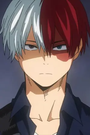 ปกนิยาย FIC MHA: ดั่งดวงใจ  [ Todorki shoto x OC ]