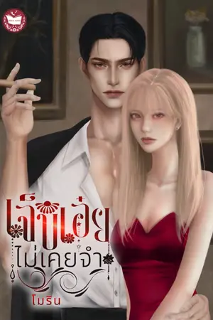 ปกนิยาย เจ็บเอ๋ยไม่เคยจำ