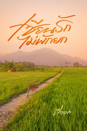 ปกนิยาย เซียนรักไม่พักยก(มี e-book)