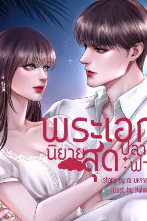ปกนิยาย พระเอกนิยายสุดปลายฟ้า