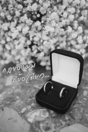 ปกนิยาย [Yaoi Novel] กฎของผมมีข้อเดียว...