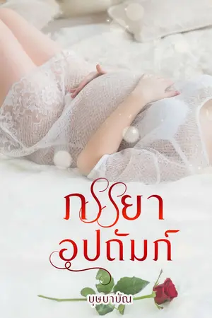 ปกนิยาย ภรรยาอุปถัมภ์ ebook มาแล้วจ้า