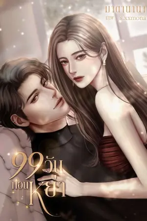 ปกนิยาย 99 วันก่อนหย่า