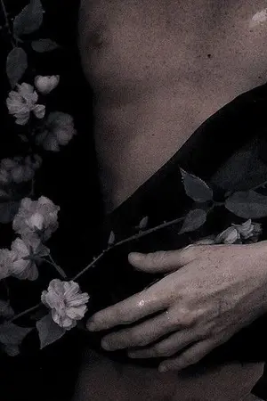 ปกนิยาย BL  |  My sullivan ดวงใจซัลลิแวน