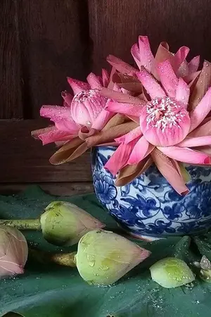 ปกนิยาย เลศรัก